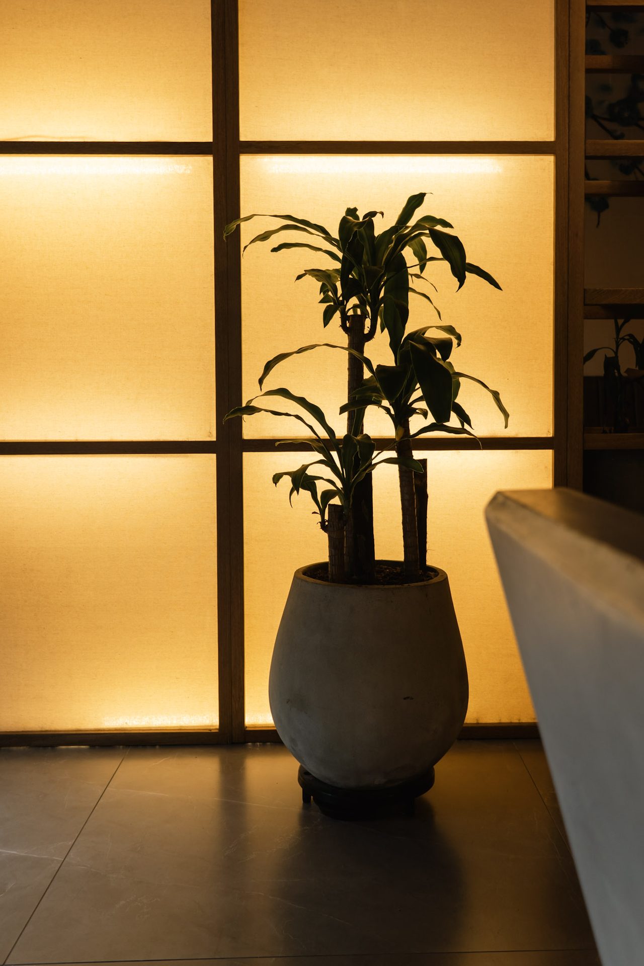 Lobby iluminado con luz cálida