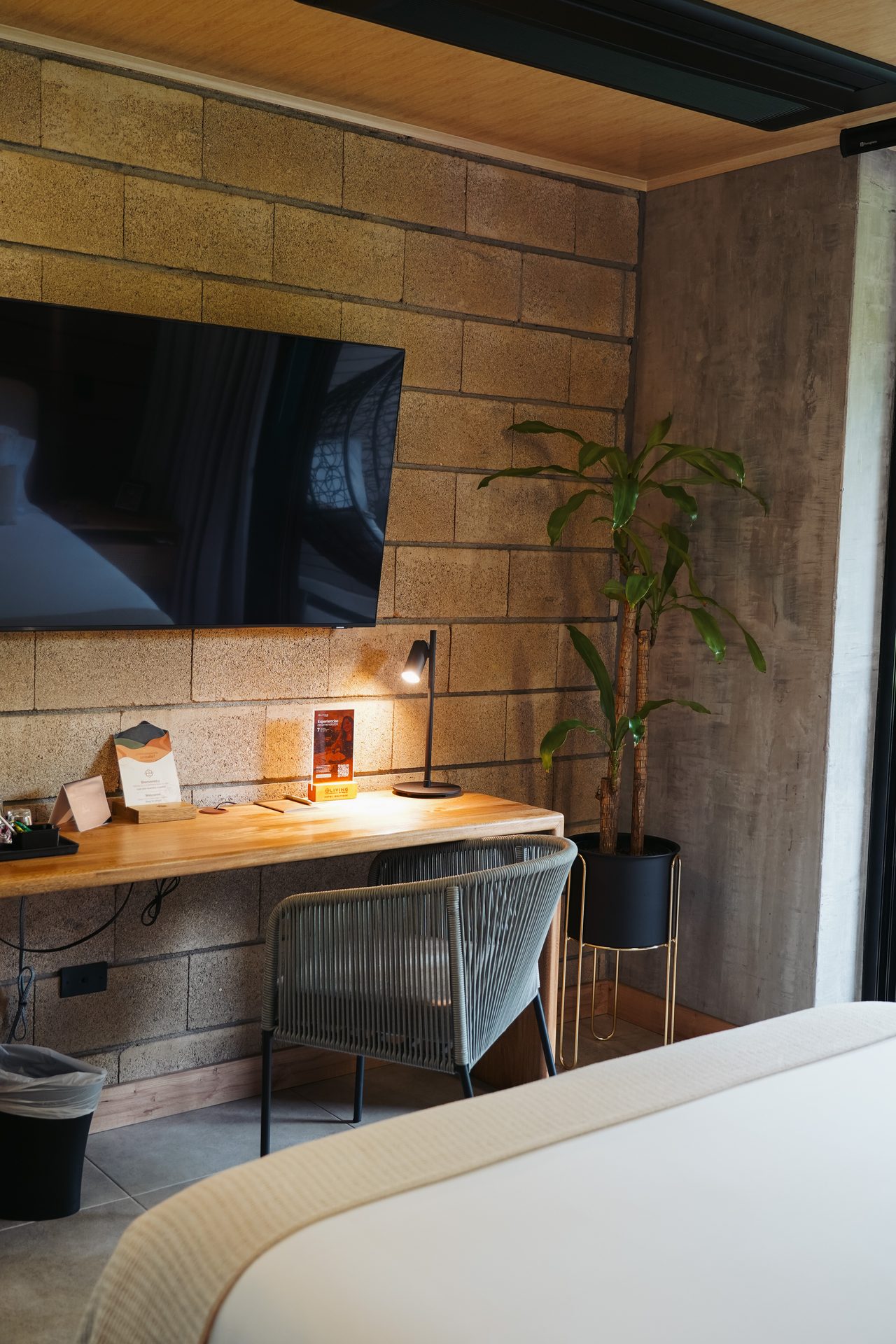 Escritorio con planta