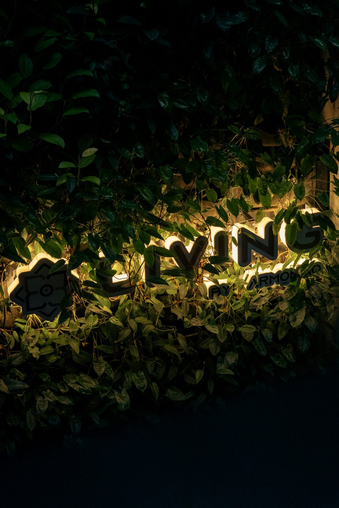 Fachada de Living by Armóniko iluminada de noche con enredadera